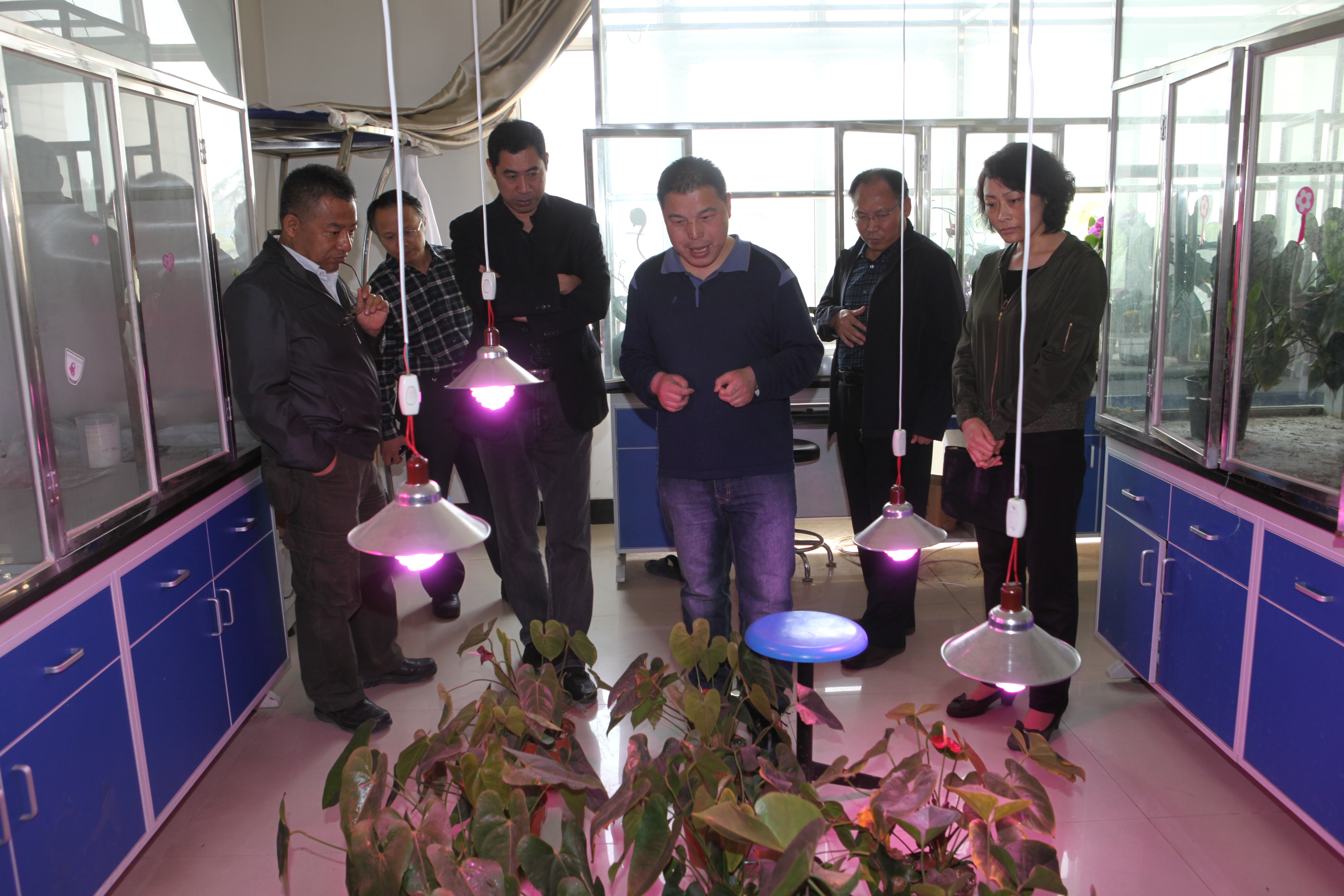 qmh官网两项唐山市重点实验室项目顺利通过专家验收