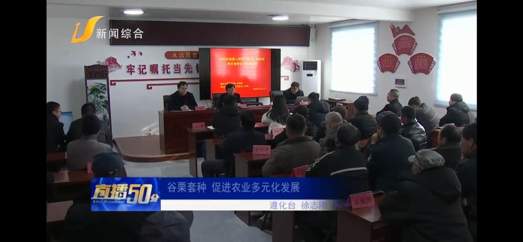 《唐山广播电视台》——球盟会qmh：谷栗套种 促进农业多元化发展